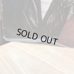 画像7: BIRTLES & GOBLE / THE LAST ROMANCE