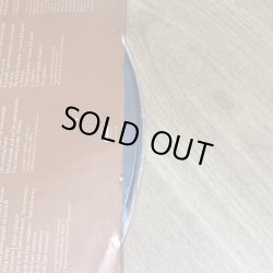 画像6: BIRTLES & GOBLE / THE LAST ROMANCE