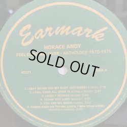 画像4: HORACE ANDY / FEEL GOOD ALL OVER HORACE ANDY ANTHORLOGY 1970 - 1975