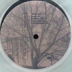 画像5: TORI AMOS / BOYS FOR PELE 