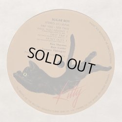 画像6: ROY HAYNES / SUGAR ROY