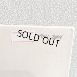 画像3: DARYL HALL AND JOHN OATES / ALONG THE RED LEDGE