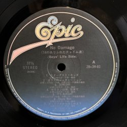 画像6: 佐野元春 / No Damage