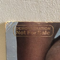 画像7: Eloise Laws / eloise　【 PROMO盤】