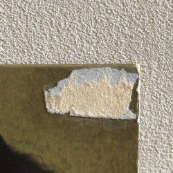 画像6: SYLVIA STRIPLIN / Give me Your Love 