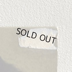 画像6: SYLVIA STRIPLIN / Give me Your Love 