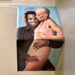 画像3: JUNIE / WHEN WE DO