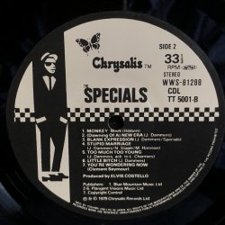 画像7: SPECIALS / THE SPECIALS 