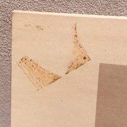 画像7: IAN DURY & THE BLOCKHEADS / LAUGHTER