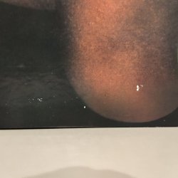 画像7: The Velvet Underground / 1969 Velvet Underground Live With Lou Reed