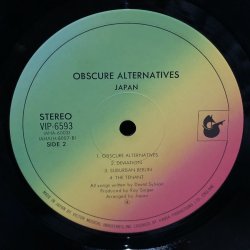 画像7: JAPAN / OBSCURE ALTERNATIVES ~ 苦悩の旋律 ~ 