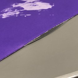 画像4: DEVO / DUTY NOW FOR THE FUTURE