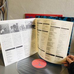 画像4: the B-52's / wild planet