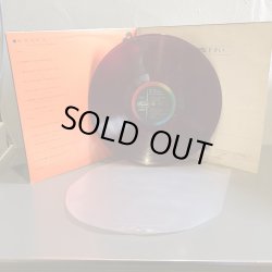 画像4: THE FOLK CRUSADERS / 紀元貳阡年