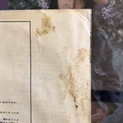 画像10: Lily / Love Letter