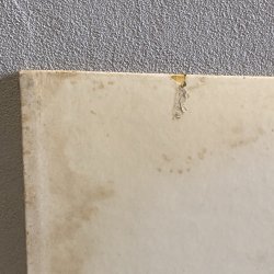 画像8: BREAD & BUTTER / MONDAY MORNING