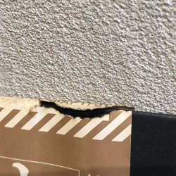 画像3: TERUMASA HINO - 日野皓正 / ~ ホライゾン ~ Horizon 