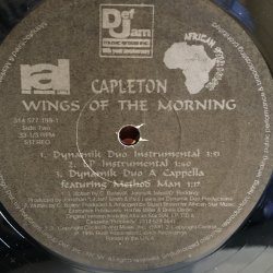 画像5: CAPLETON / WINGS OF THE MORNING   12" E.P.