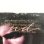 画像6: BRYAN FERRY / BOYS and GIRLS  PROMO盤