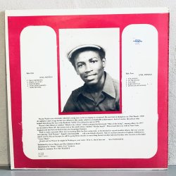 画像2: WAYNE WADE / evil woman 