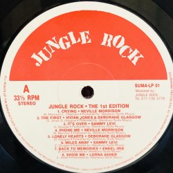 画像5: V.A. / JUNGLE ROCK 1st EDITION 