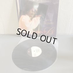 画像3: GARNETT SILK / Love Is The Answer 