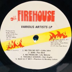 画像5: V.A. / KING TUBBY presents FIREHOUSE - WATERHOUSE 