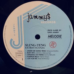 画像4: V.A. / King Jammy's presents Sleng -Teng EXTRAVAGANZA  2LP