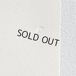 画像3: KENNY BURRELL / BLUESEY BURRELL