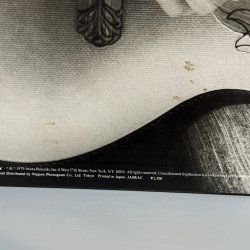 画像3: LARRY CORYELL / TRIBUTARIES 