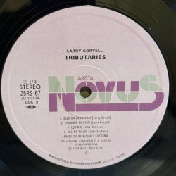 画像7: LARRY CORYELL / TRIBUTARIES 