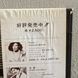 画像4: LARRY CORYELL / TRIBUTARIES 