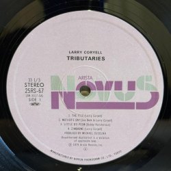 画像6: LARRY CORYELL / TRIBUTARIES 