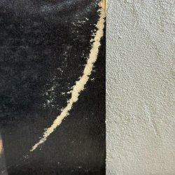 画像6: TOM WAITS / The heart of saturday Night 