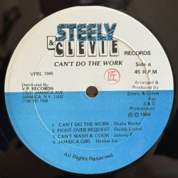 画像4: V.A. / CAN'T DO THE WORK 