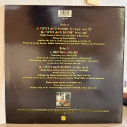 画像2:  Chaka Demus & Pliers with JACK RADICS & TAXI GANG / TWIST AND SHOUT 12"E.P. 