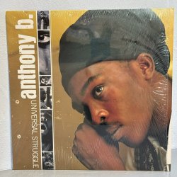 画像1: ANTHONY B / UNIVERSAL STRUGGLE 