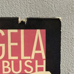 画像3: ANGELA WINBUSH / SHARP 