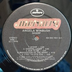 画像6: ANGELA WINBUSH / SHARP 