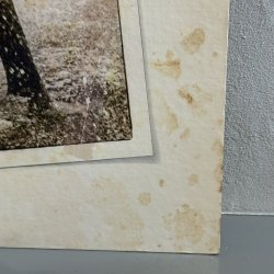 画像3: MFSB / Summertime 