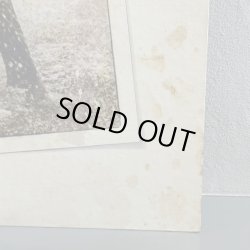 画像3: MFSB / Summertime 