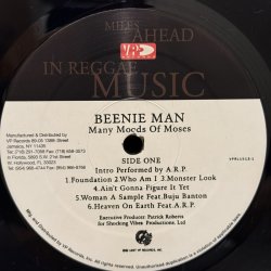 画像5: BEENIE MAN / many moods of moses 