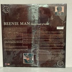 画像2: BEENIE MAN / many moods of moses 