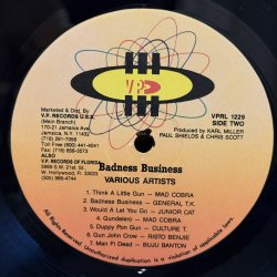 画像5: V.A. / BADNESS BUSINESS 