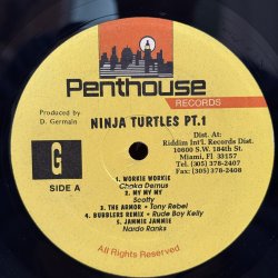 画像4: V.A. / NINJA TURTLE