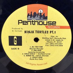 画像5: V.A. / NINJA TURTLE
