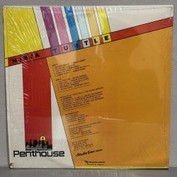 画像2: V.A. / NINJA TURTLE