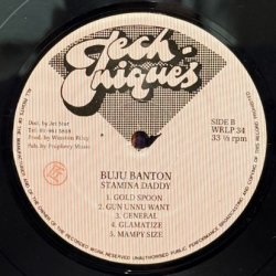 画像5: BUJU BANTON / STAMINA DADDY 