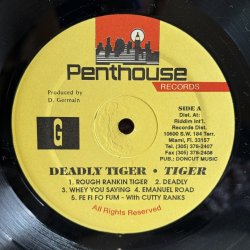 画像4: TIGER / DEADLY 