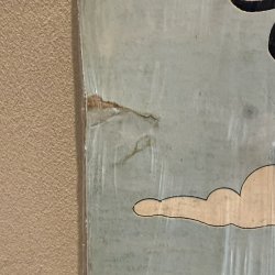 画像6: V.A. / SLIM BELLY MAN 